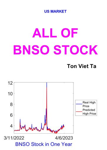 All of BNSO Stock - Ta Viet Ton