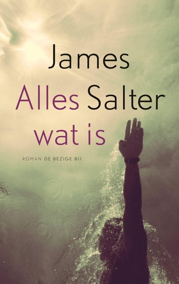 Alles wat is - James Salter