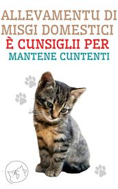 Allevamentu di misgi domestici è cunsiglii per mantene cuntenti