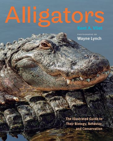 Alligators - Kent A. Vliet