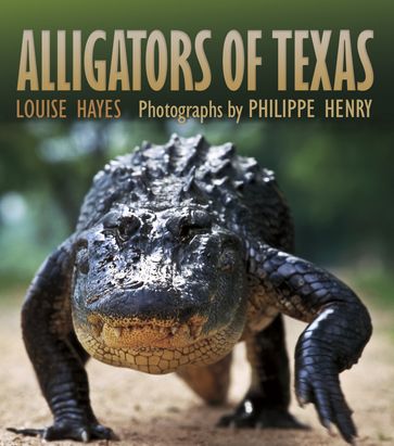 Alligators of Texas - Louise Hayes - Philippe Henry