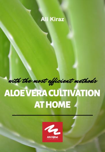 Aloe Vera Cultivation at Home - Ali Kiraz