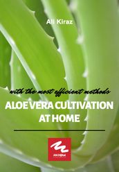 Aloe Vera Cultivation at Home