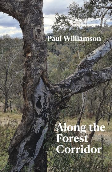 Along the Forest Corridor - Paul Williamson