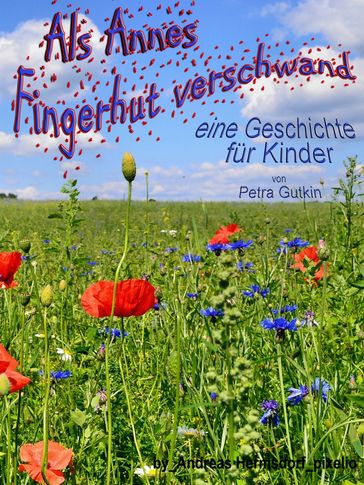 Als Annes Fingerhut verschwand - Petra Gutkin