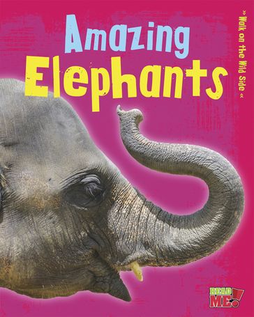 Amazing Elephants - Charlotte Guillain