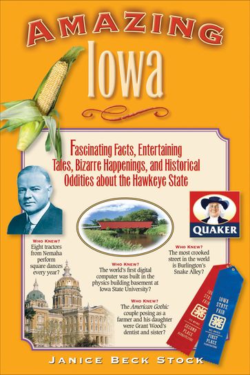 Amazing Iowa - Janice Beck Stock