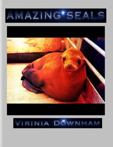 Amazing Seals - Virinia Downham