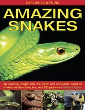 Amazing Snakes