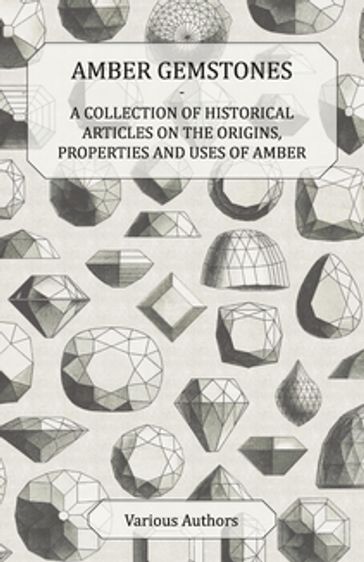 Amber Gemstones - A Collection of Historical Articles on the Origins, Properties and Uses of Amber - AA.VV. Artisti Vari