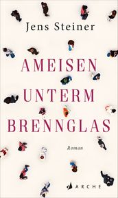 Ameisen unterm Brennglas