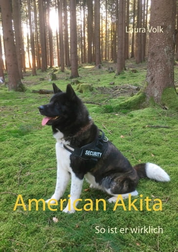 American Akita - Laura Volk