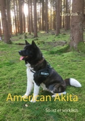 American Akita