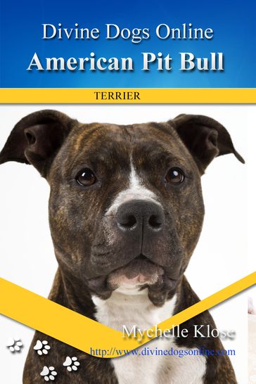American Pit Bull Terrier - Mychelle Klose