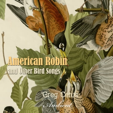 American Robin and Other Bird Songs - Greg Cetus