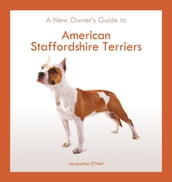 American Staffordshire Terrier