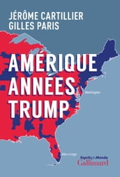 Amérique années Trump