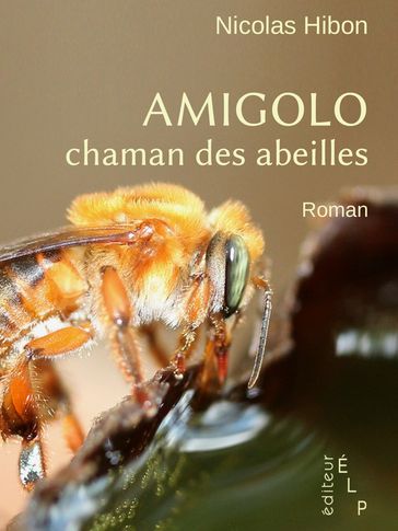 Amigolo, chaman des abeilles - Nicolas Hibon