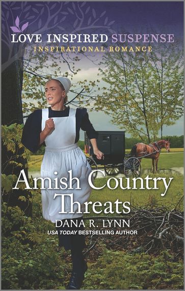 Amish Country Threats - Dana R. Lynn