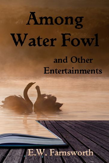 Among Water Fowl and Other Entertainments - E.W. Farnsworth