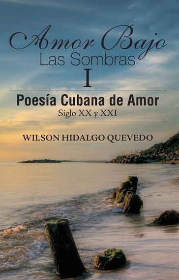 Amor Bajo Las Sombras I - Wilson Hidalgo Quevedo