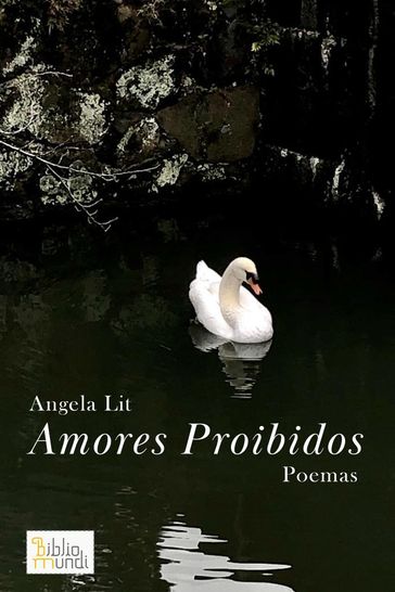 Amores Proibidos - Angela Lit