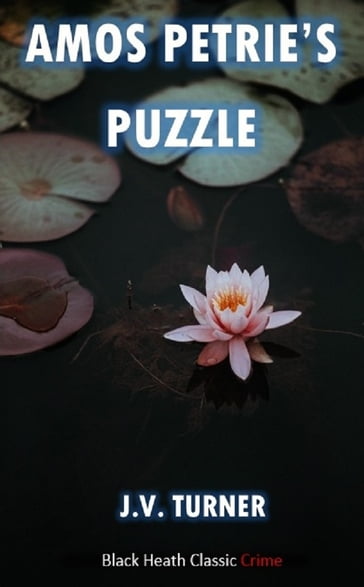 Amos Petrie's Puzzle - J.V. Turner