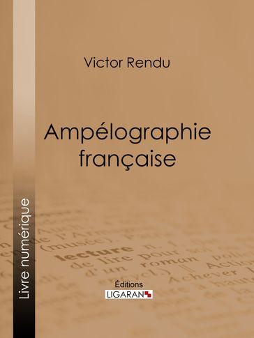Ampélographie française - Ligaran - Victor Rendu