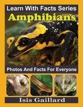 Amphibians Photos and Facts for Everyone