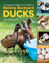 An Absolute Beginner s Guide to Raising Backyard Ducks: Breeds, Feeding, Housing and Care, Eggs and Meat