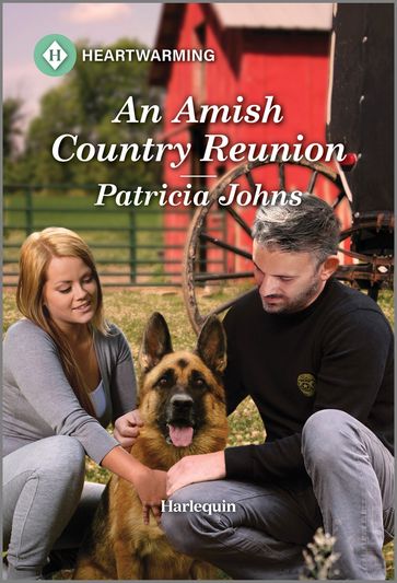An Amish Country Reunion - Patricia Johns
