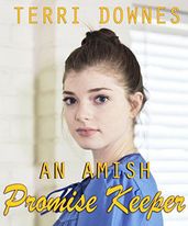 An Amish Promise Keeper