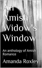 An Amish Widow