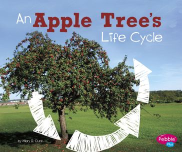 An Apple Tree's Life Cycle - Mary R. Dunn