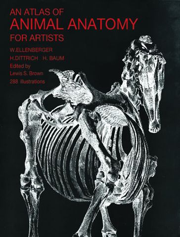 An Atlas of Animal Anatomy for Artists - Francis A. Davis - W. Ellenberger