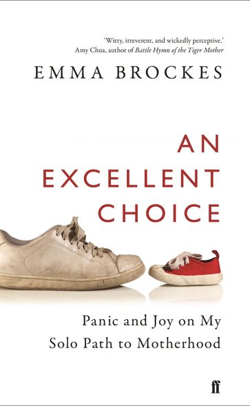 An Excellent Choice - Emma Brockes