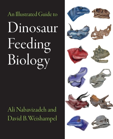An Illustrated Guide to Dinosaur Feeding Biology - Ali Nabavizadeh - David B. Weishampel