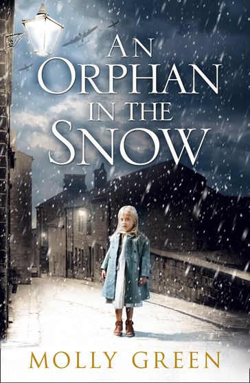 An Orphan in the Snow - Molly Green