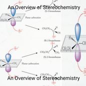 An Overview of Stereochemistry