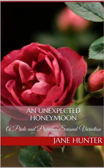 An Unexpected Honeymoon: A Pride and Prejudice Sensual Intimate - Jane Hunter