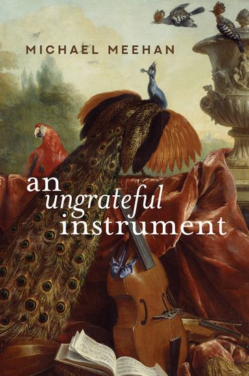 An Ungrateful Instrument - Michael Meehan