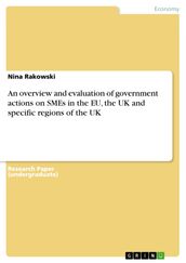 An overview and evaluation of government actions on SMEs in the EU, the UK and specific regions of the UK