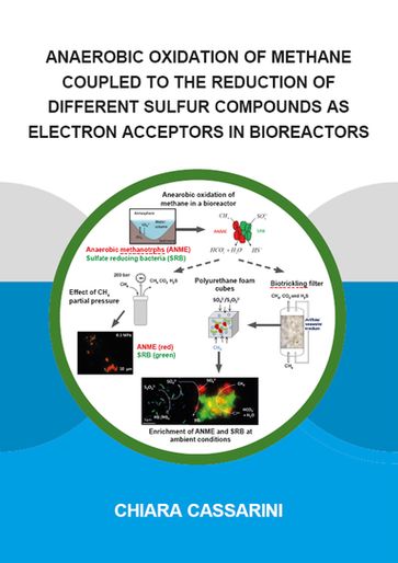 Anaerobic Oxidation of Methane Coupled to the Reduction of Different Sulfur Compounds as Electron Acceptors in Bioreactors - Chiara Cassarini