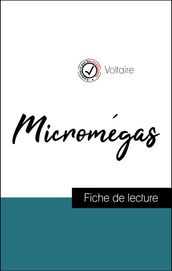Analyse de l œuvre : Micromégas (résumé et fiche de lecture plébiscités par les enseignants sur fichedelecture.fr)