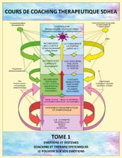 Analyse des systèmes et gestion des émotions