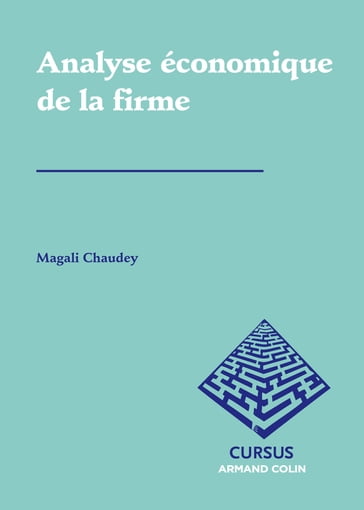 Analyse économique de la firme - Magali Chaudey