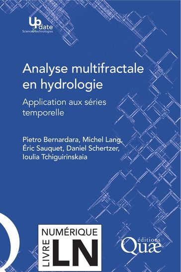 Analyse multifractale en hydrologie - Pietro Bernardara - Michel Lang - Eric Sauquet - Daniel Schertzer - Ioulia Tchiriguyskaia
