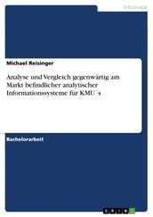 Analyse und Vergleich gegenwärtig am Markt befindlicher analytischer Informationssysteme für KMUs