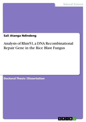 Analysis of Rhm51, a DNA Recombinational Repair Gene in the Rice Blast Fungus - Sali Atanga Ndindeng