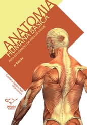 Anatomia humana básica